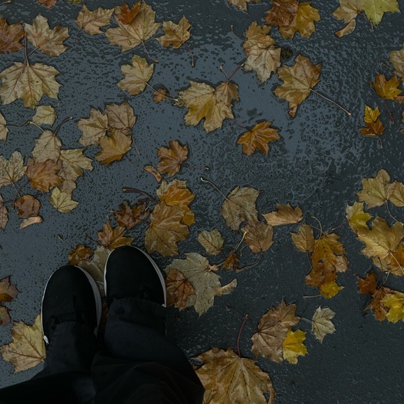 Meet the Posher 🦋 - Picture 2 of 5